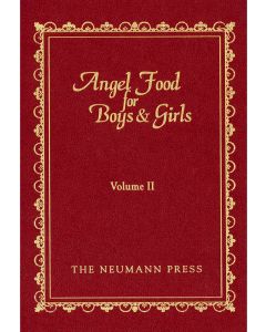 Angel Food for Boys and Girls Vol. 2 HC