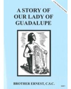 Story of Our Lady of Guadalupe 1